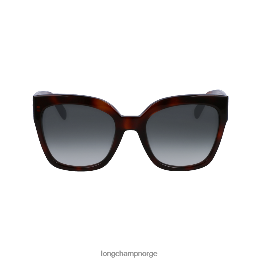 Longchamp solbriller høst/vinter 2022 kolleksjon kvinner havana FTJ6LL898